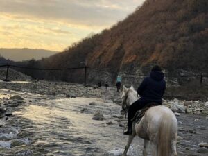 Прогулки на лошадях в горах Прогулки на лошадях в горах